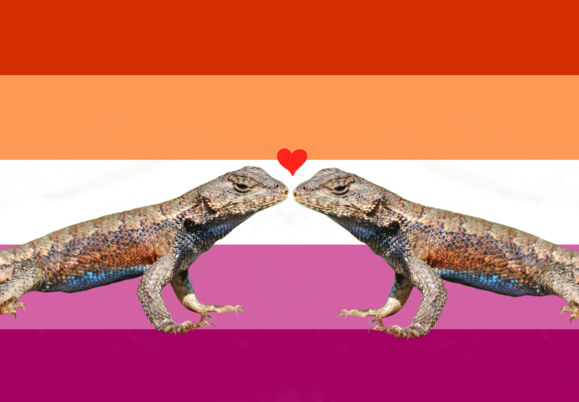 Immaculate Conception In Lesbian Lizards The Nucleus